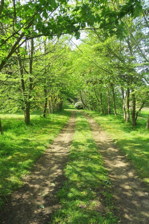 Вілла Les Creches De Boiseon Penvenan Екстер'єр фото